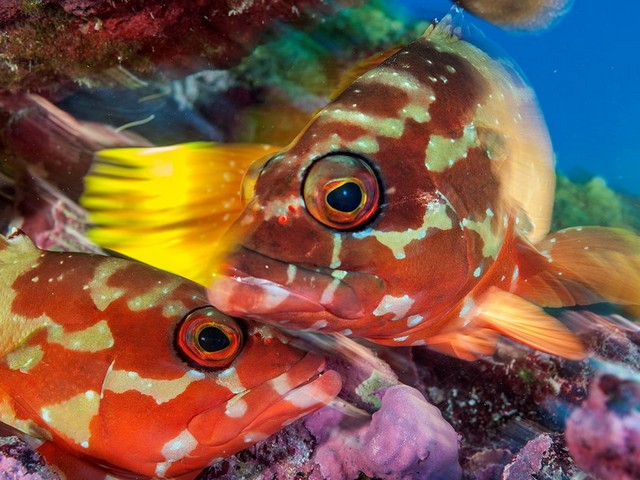 دیدنی های امروز