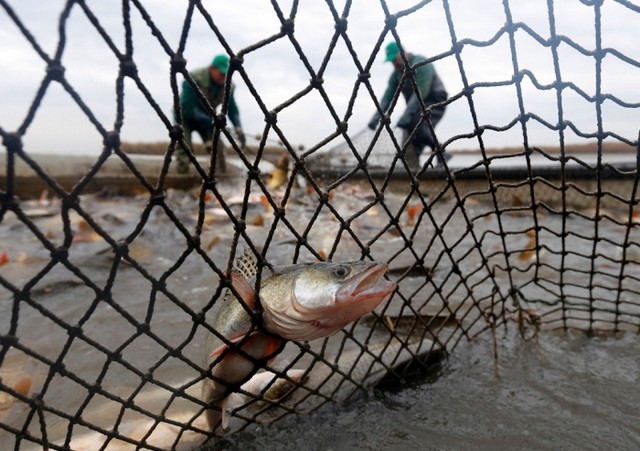 دیدنی های امروز