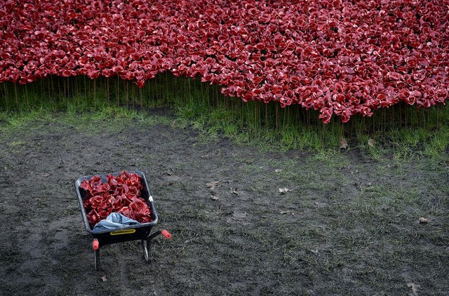 دیدنی های امروز