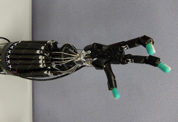 ماهیچه مصنوعی که یاد می گیرد و به خاطر می سپارد! ماهیچه مصنوعی که یاد می گیرد و به خاطر می سپارد!