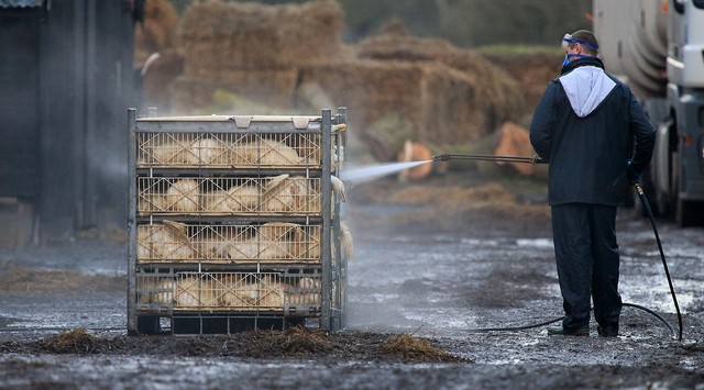 دیدنی های امروز