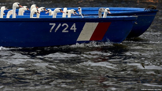 دیدنی های امروز