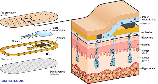 جایگزینی نمونه خون با عرق با چسب پوستی جدید جایگزینی نمونه خون با عرق با چسب پوستی جدید