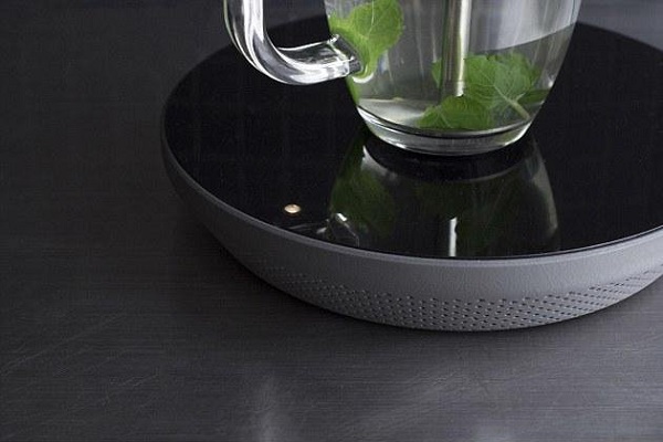 پاپانی بر عمر کتریها+ تصاویر پاپانی بر عمر کتریها+ تصاویر