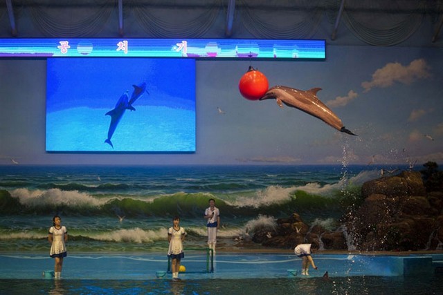 روی دیگر زندگی در کره‌شمالی (عکس)