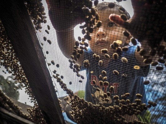 دیدنی های امروز