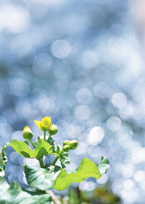 این تصاویر زیبا را ببینید!