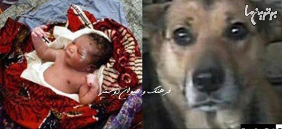 سگی که قهرمان یک ملت شد (+عکس)