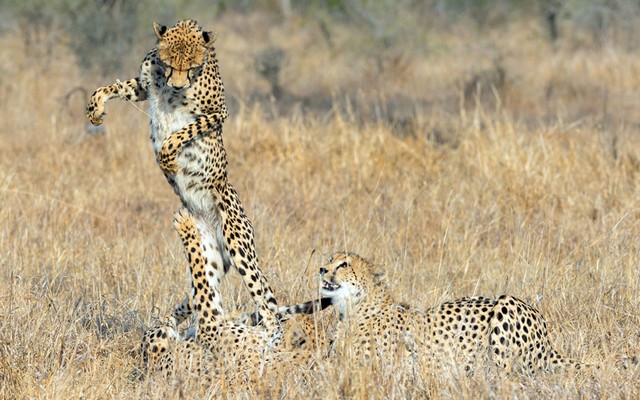 دیدنی های امروز