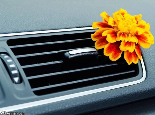 حقایقی جالب توجه درباره خودرو حقایقی جالب توجه درباره خودرو