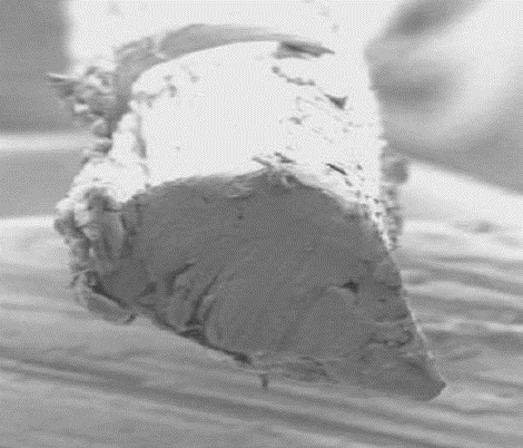 ساخت محکمترین الیاف ابریشمی جهان ساخت محکمترین الیاف ابریشمی جهان