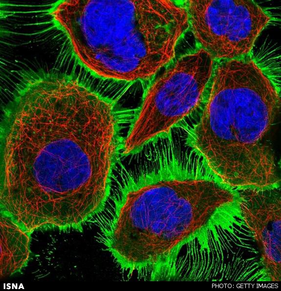 کشف ماده تاریک در جهان پروتئینها کشف ماده تاریک در جهان پروتئینها