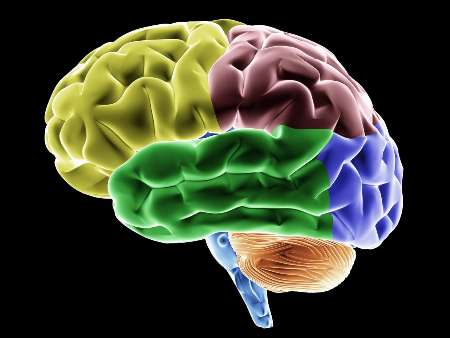 بالا رفتن از پله جوانی مغز را حفظ می کند بالا رفتن از پله جوانی مغز را حفظ می کند