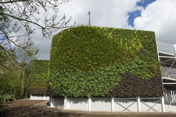 ساخت بزرگ‌ترین دیوار سبز اروپا +تصاویر