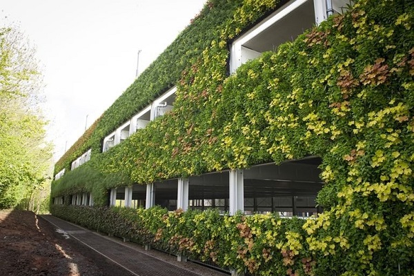 ساخت بزرگ‌ترین دیوار سبز اروپا +تصاویر