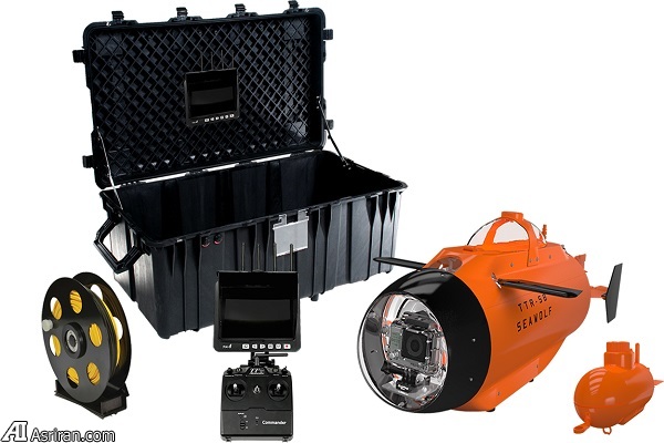 لذت تصویربرداری اکشن در زیر آب با گرگ دریا!