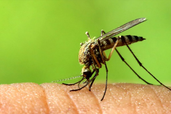 ۱۳ پیشبینی در مورد آیندهی علم و فناوری ۱۳ پیشبینی در مورد آیندهی علم و فناوری