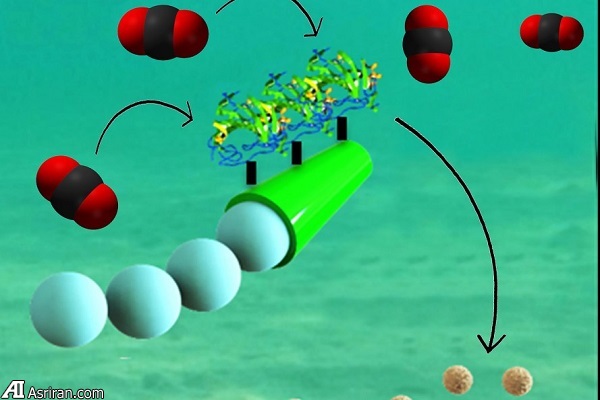 پاکسازی آلودگی دی اکسید کربن اقیانوس با نانوموتور پاکسازی آلودگی دی اکسید کربن اقیانوس با نانوموتور