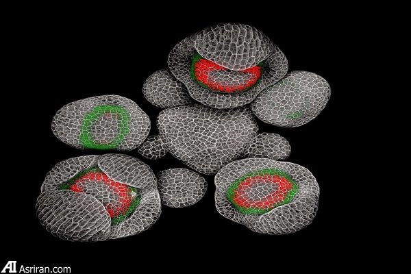 شکار لحظهها در دنیای کوچک اطراف ما شکار لحظهها در دنیای کوچک اطراف ما