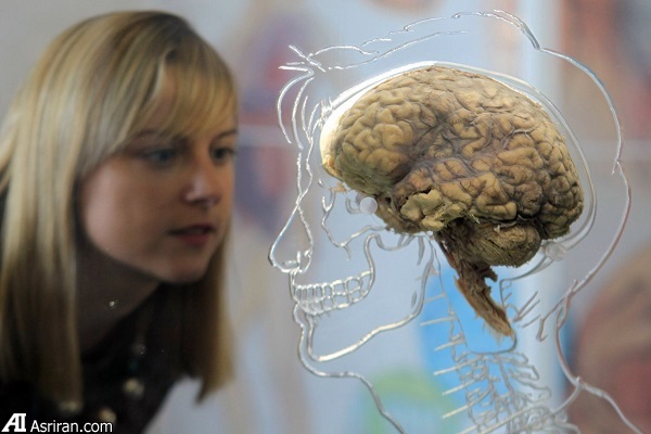 حقایقی شگفت انگیز درباره میکروبهای ساکن بدن انسان حقایقی شگفت انگیز درباره میکروبهای ساکن بدن انسان