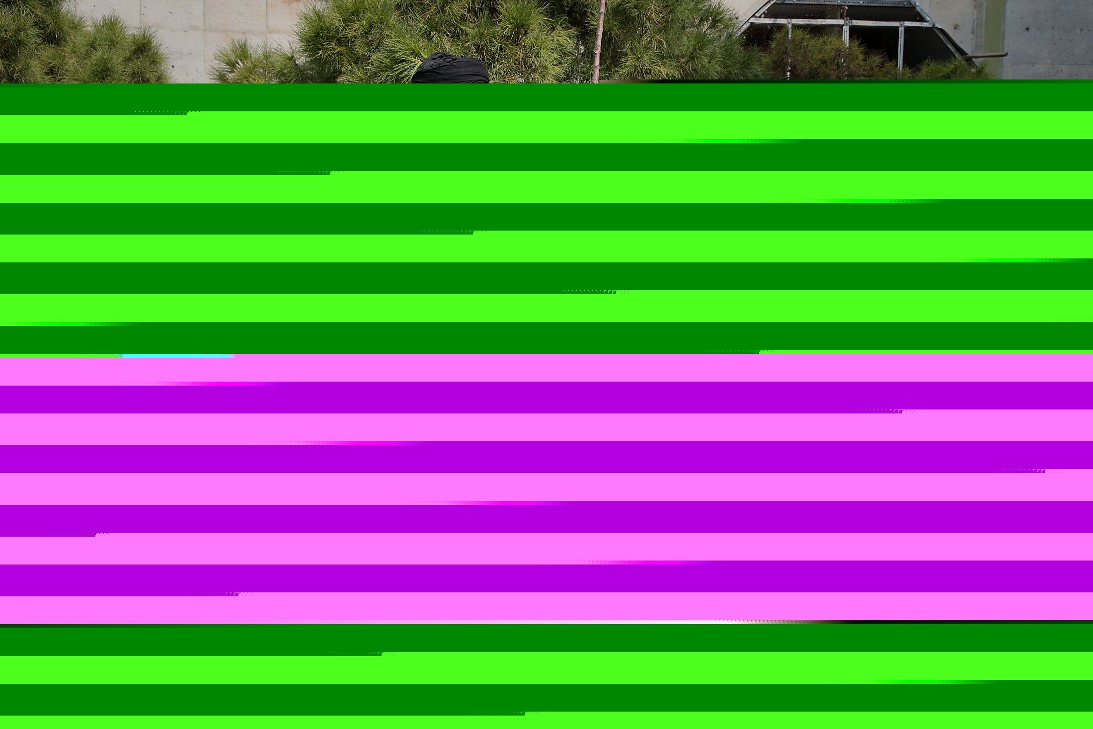 مقام معظم رهبری: جنگل‌ها و منابع باید از دست‌اندازی سوداگران حفظ شود