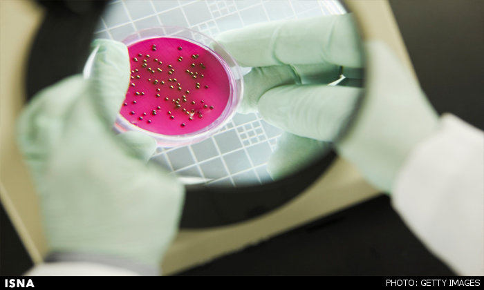 تشخیص فوری عفونتهای باکتریایی با دستگاه جدید تشخیص فوری عفونتهای باکتریایی با دستگاه جدید