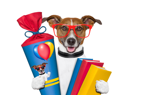 باجگیر تازه اندرویدی‌ها را تهدید می‌کند