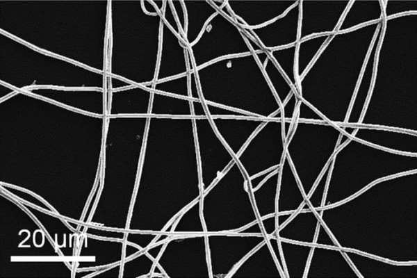 سلولهای خورشیدی با نوار فیلم ساخته شد سلولهای خورشیدی با نوار فیلم ساخته شد