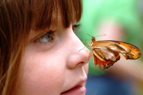 کشف ژنهای شکل دهنده به بینی