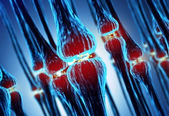 تئوری تازه محققان هاروارد درباره آلزایمر