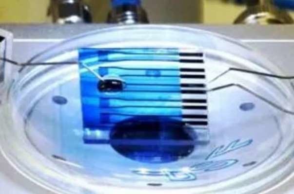 تشخیص سریع و ارزان آلزایمر و سرطان