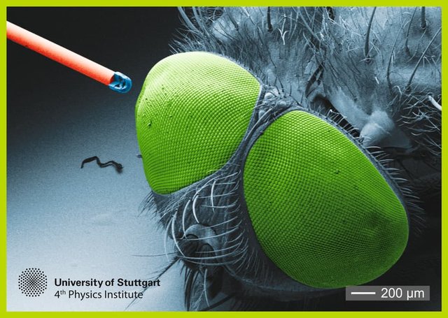 دوربینی که به اندازه یک دانه نمک است+تصاویر دوربینی که به اندازه یک دانه نمک است+تصاویر