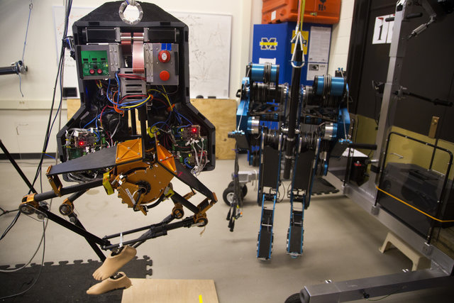 مارلو؛ رباتی که هرگز زمین نمیخورد+تصاویر مارلو؛ رباتی که هرگز زمین نمیخورد+تصاویر