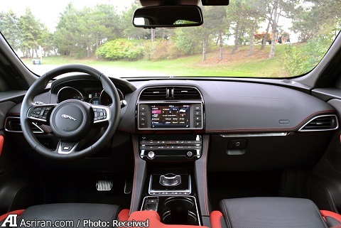 اعلام جنگ ببر انگلیسی با گربه ملوس آلمانها اعلام جنگ ببر انگلیسی با گربه ملوس آلمانها