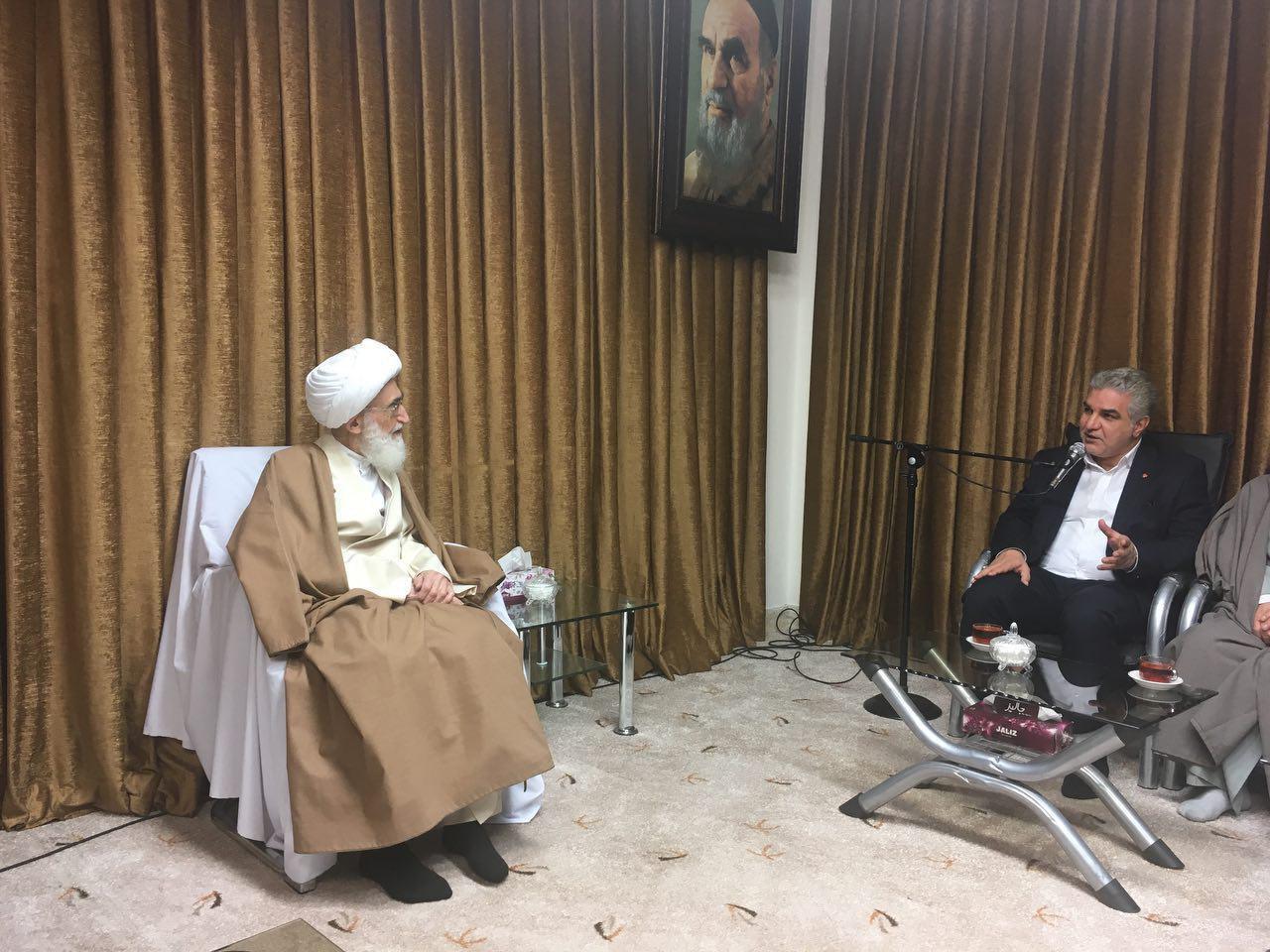 آیت الله نوری همدانی: فعالیت در حوزه خودروسازی خدمت بزرگی است