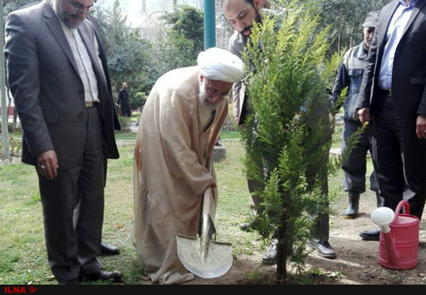 آیت الله جنتی یک اصله نهال غرس کرد (عکس)