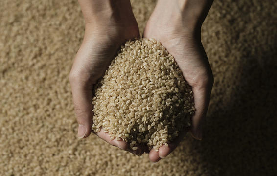 4 اقدام ساده خانگی برای کاهش اندازه دور کمر