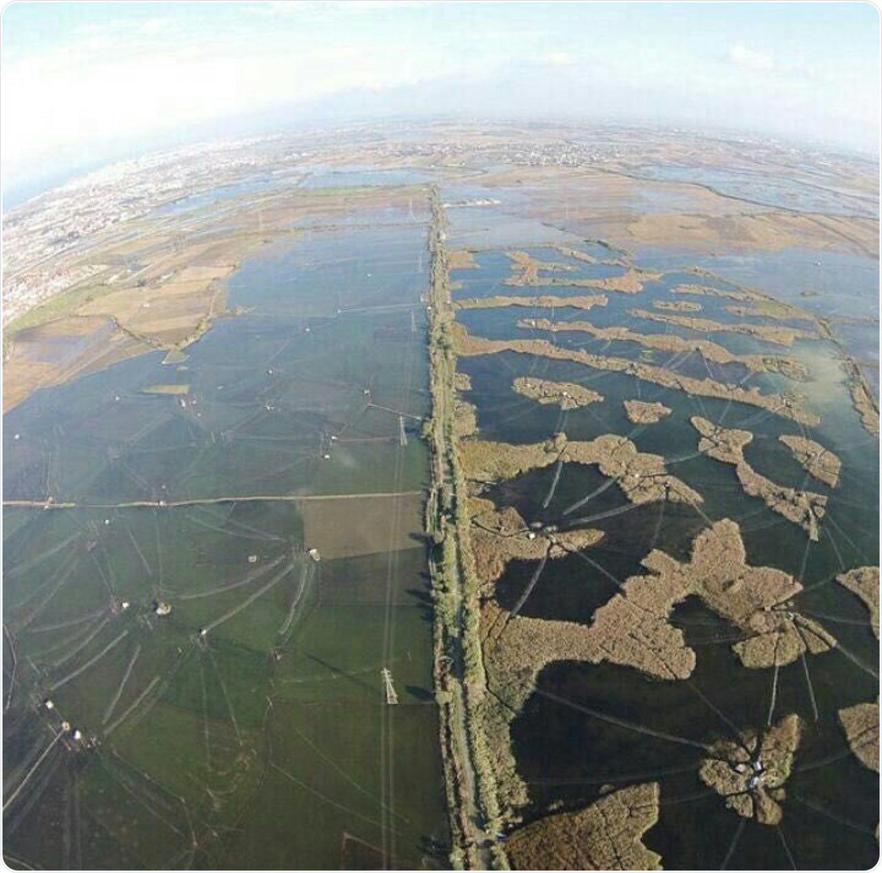 قتلگاه پرندگان در فریدونکنار (+عکس) قتلگاه پرندگان در فریدونکنار (+عکس)