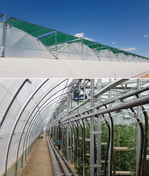 ضرورت توسعه کشت گلخانهای برای مدیریت منابع آبی ضرورت توسعه کشت گلخانهای برای مدیریت منابع آبی