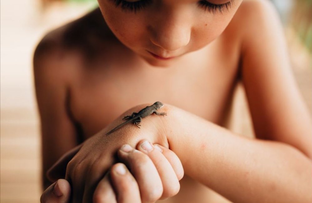 دوستی با مارمولک (عکس)