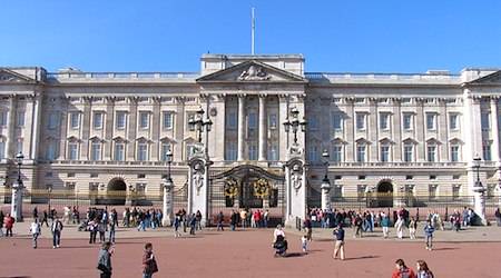 انعطاف پذیری راز ماندگاری