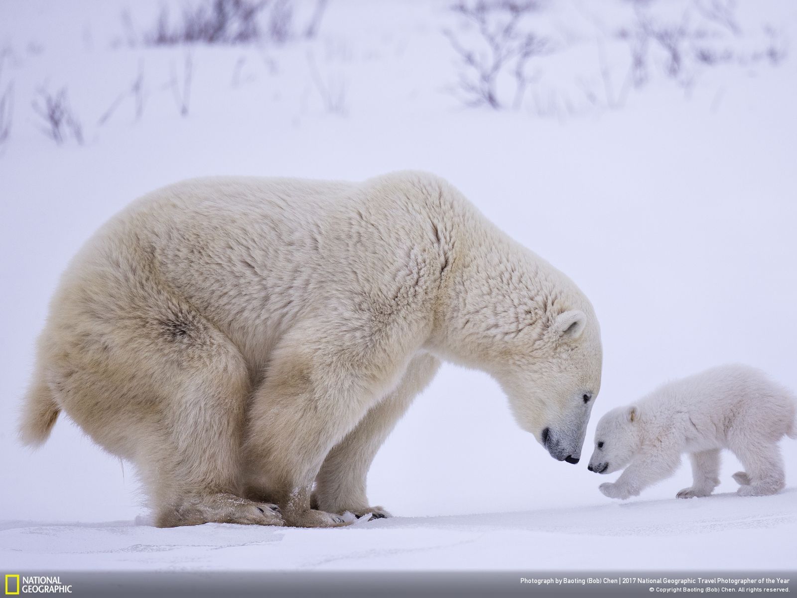 عکس منتخب نشنال جئوگرافیک