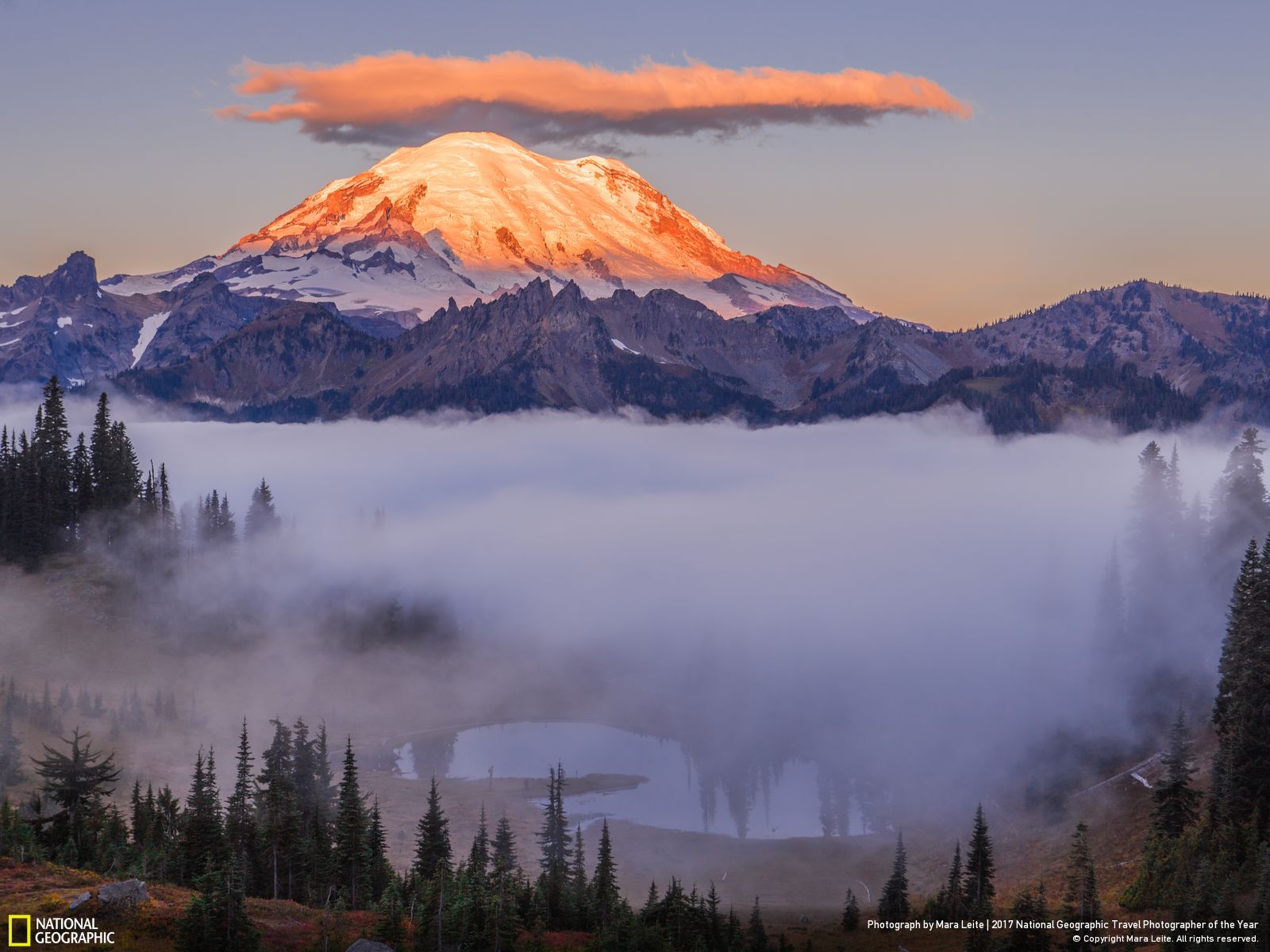 عکس منتخب نشنال جئوگرافیک