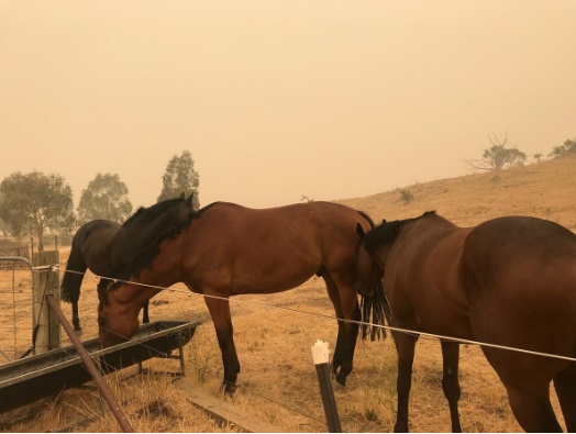 گردشگری استرالیا 