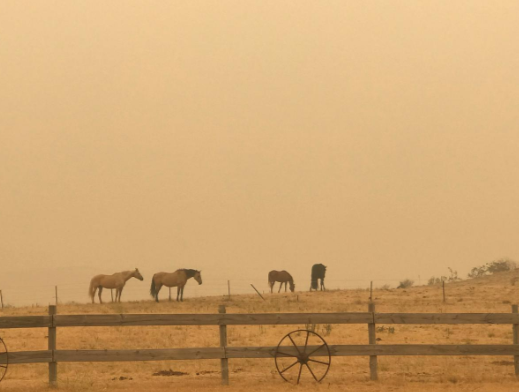 اتش گردشگری