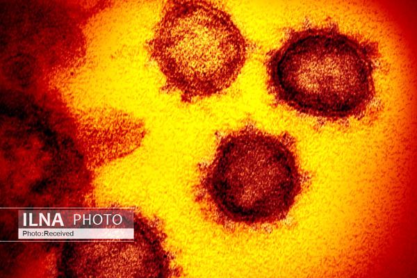 &laquo;کرونا&raquo; سراغ دانمارک هم رفت