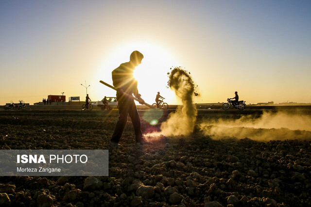 واریز بخش دوم غرامت بیمه کشاورزان فارس