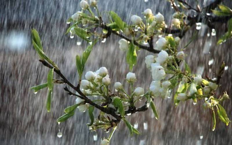 هواشناسی: سامانه بارشی جدید از شمال غرب وارد می شود هواشناسی: سامانه بارشی جدید از شمال غرب وارد می شود