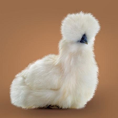 حقایقی جالب که جهان را از زاویه&zwnj;ای متفاوت نشان می&zwnj;دهند (+عکس)