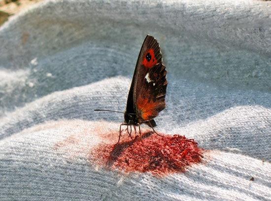 حقایقی جالب که جهان را از زاویه&zwnj;ای متفاوت نشان می&zwnj;دهند (+عکس)